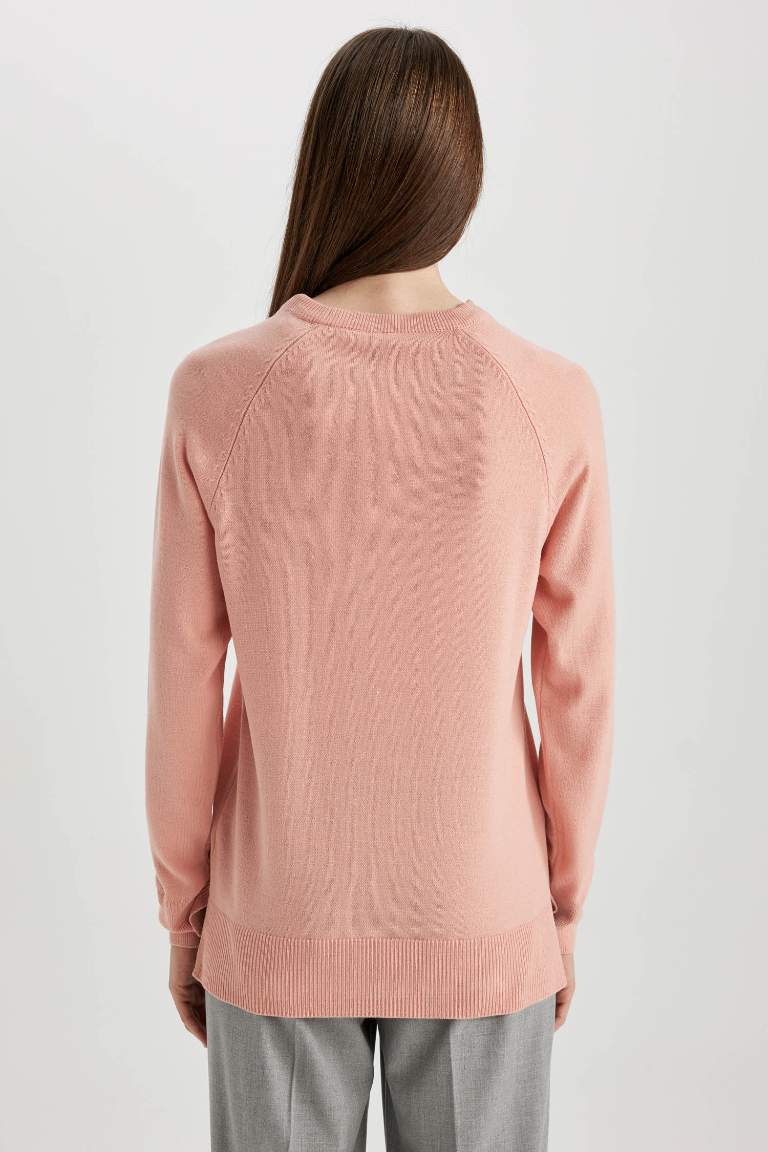 Regular Fit Crew Neck Pullover
