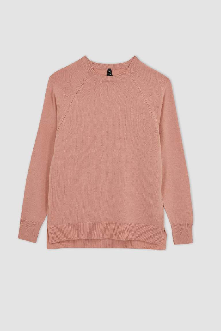 Regular Fit Crew Neck Pullover