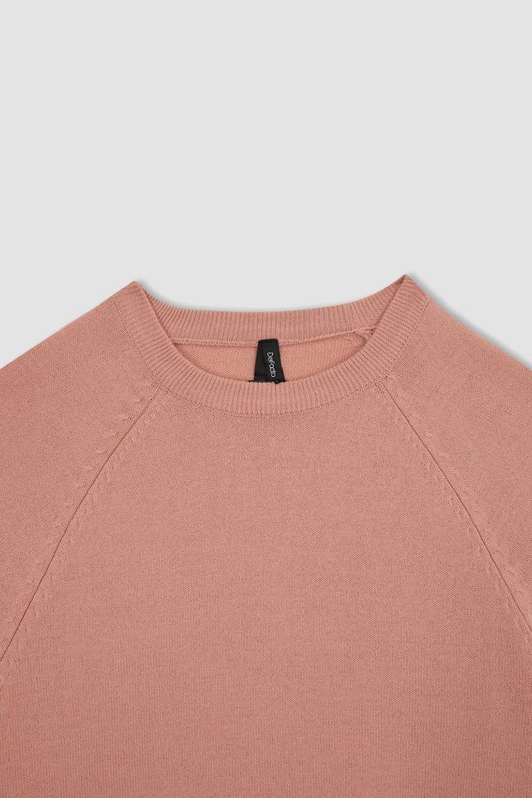 Regular Fit Crew Neck Pullover