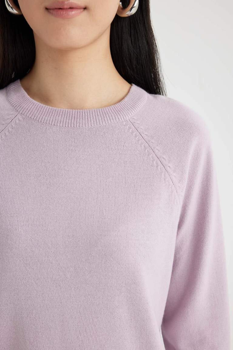 Regular Fit Yumuşak Dokulu Bisiklet Yaka Reglan Kol Basic Düz Triko Kazak