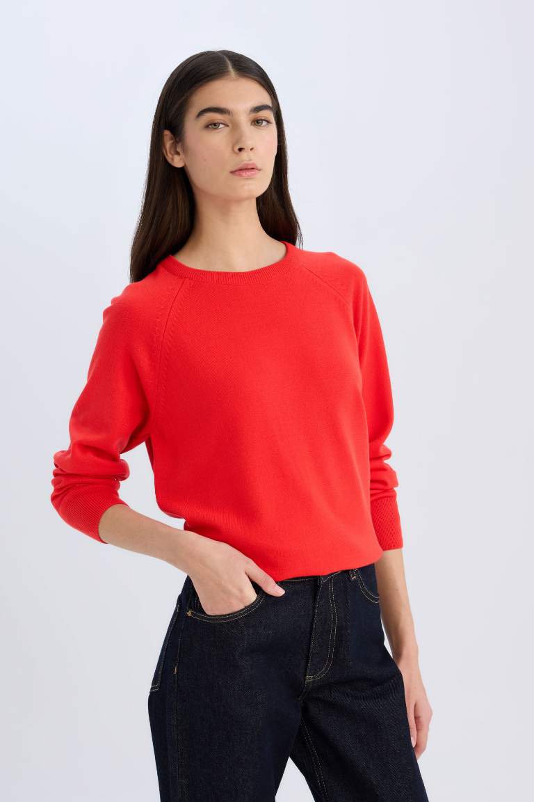 Regular Fit Soft Textured Crew Neck Basic Knitted Pullover