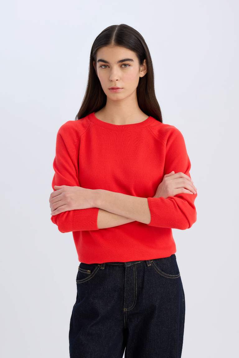 Regular Fit Soft Textured Crew Neck Basic Knitted Pullover