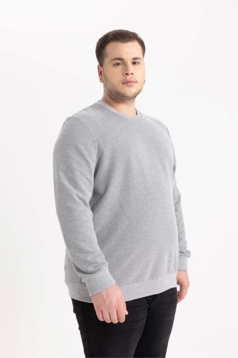 Regular Fit Bisiklet Yaka Basic Sweatshirt