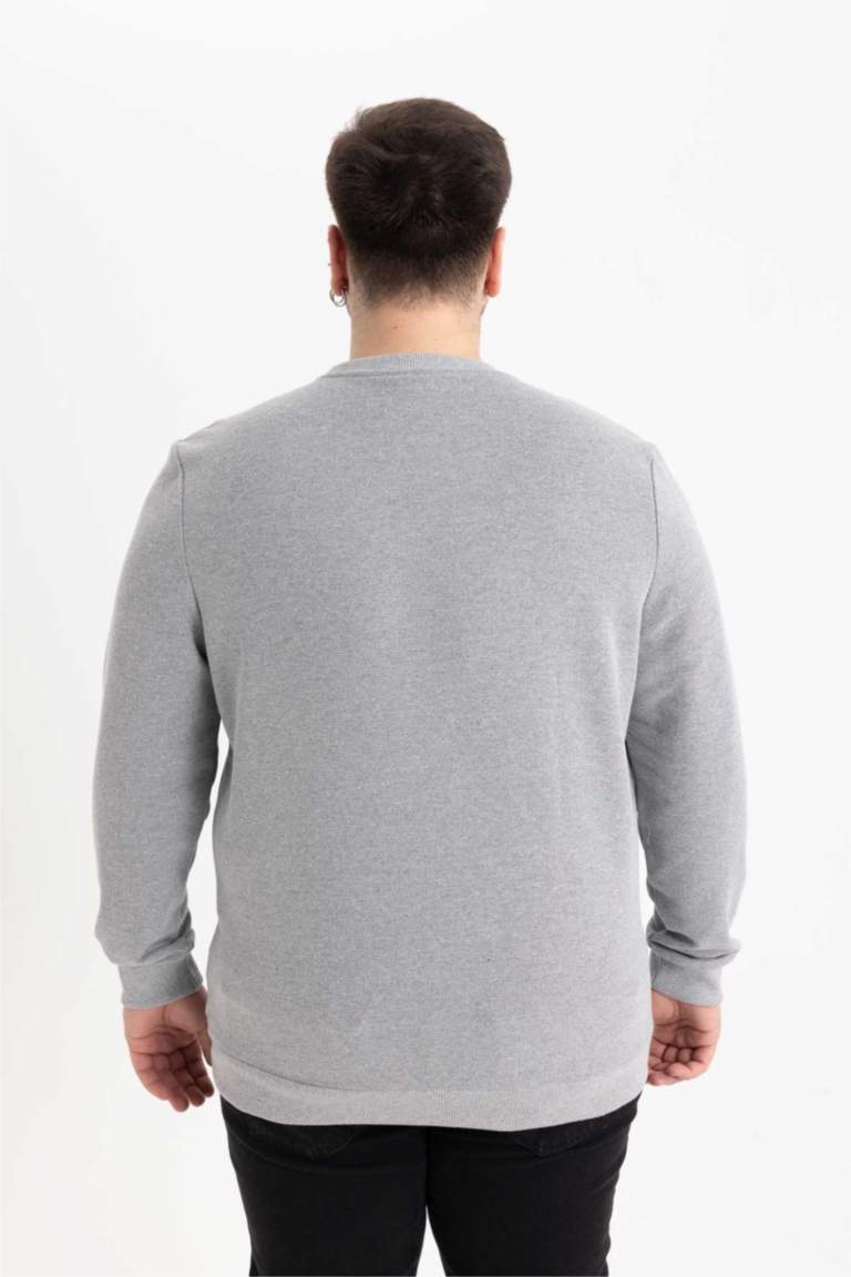 Regular Fit Bisiklet Yaka Basic Sweatshirt