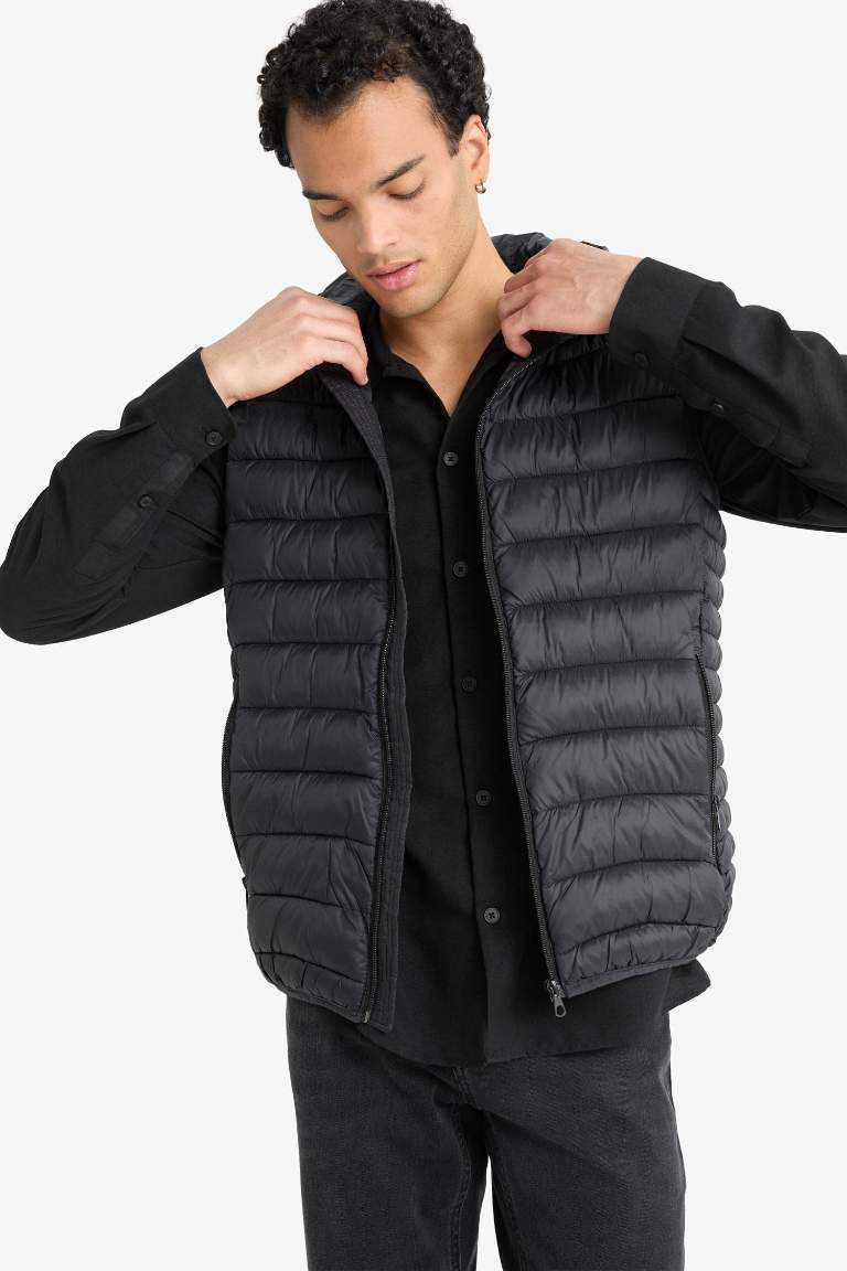 Slim Fit Hooded Zippered Vest