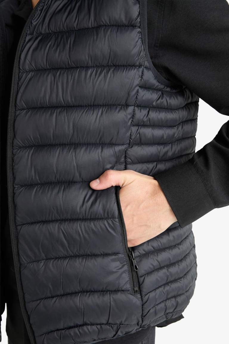 Slim Fit Hooded Zippered Vest