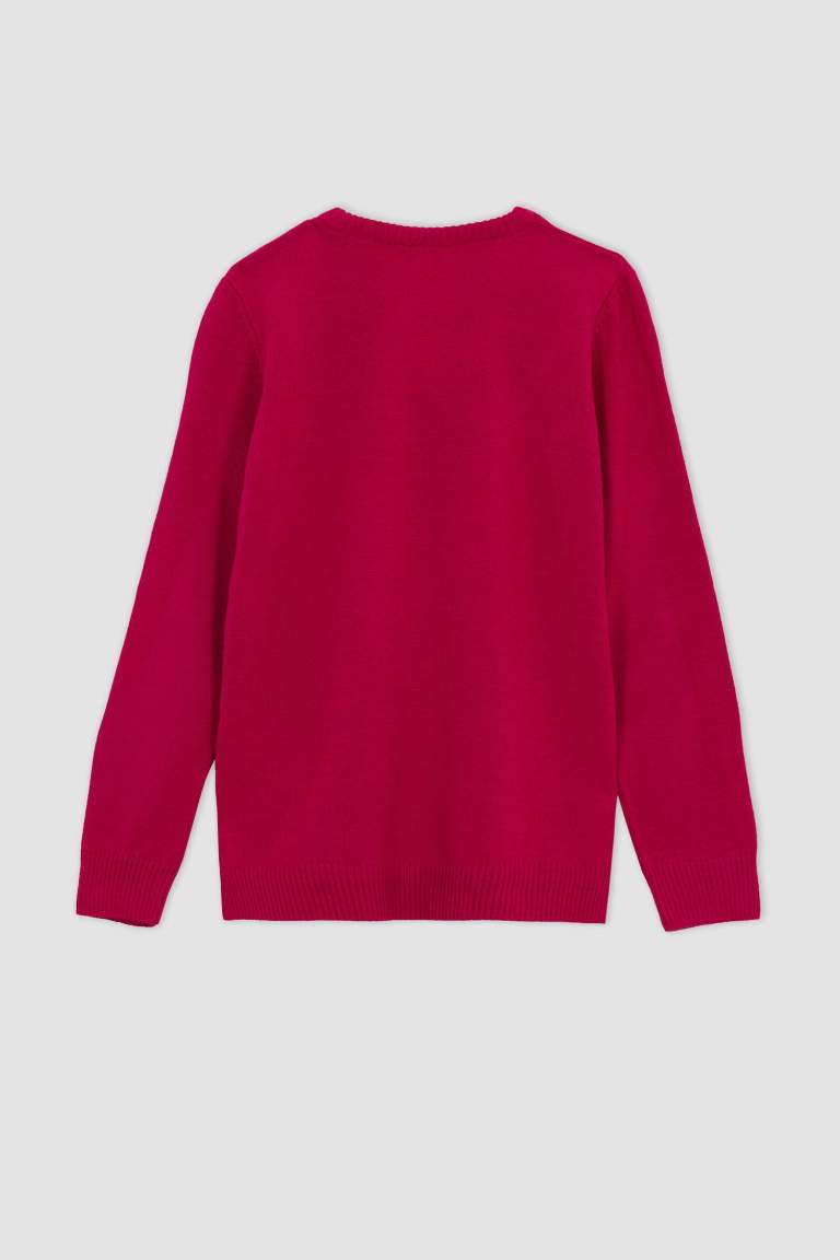 Kız Çocuk Regular Fit Bisiklet Yaka Kazak