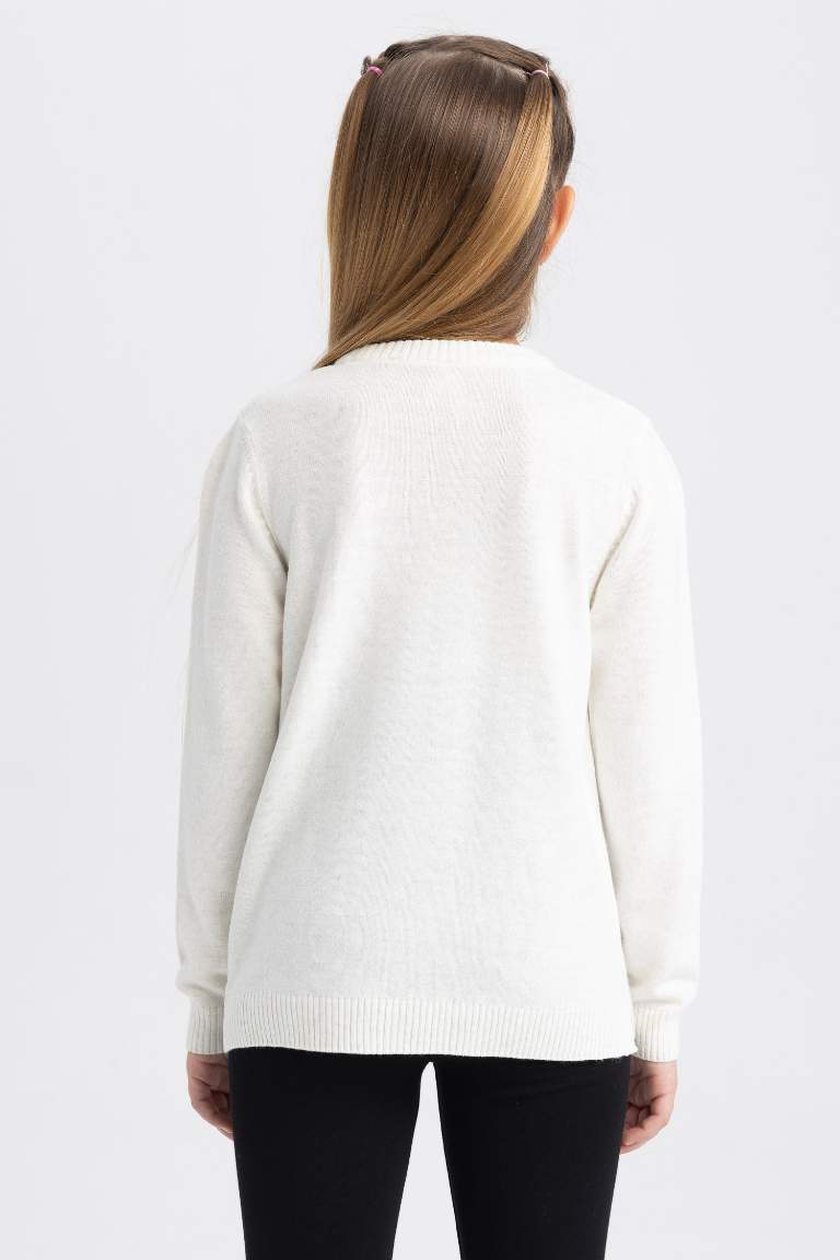 Girl Regular Fit Crew Neck Pullover