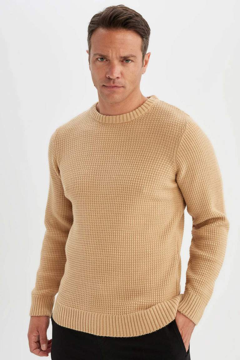 Standard Fit Crew Neck Basic Knitted Pullover