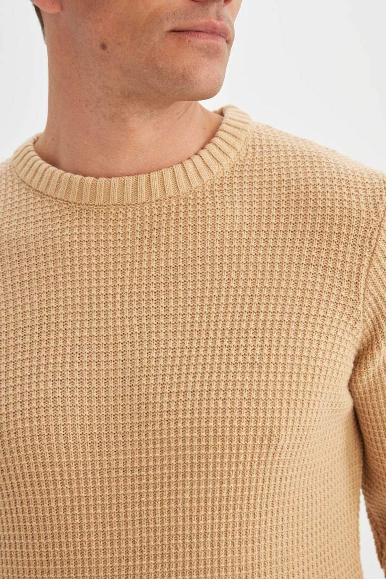 Standard Fit Crew Neck Basic Knitted Pullover