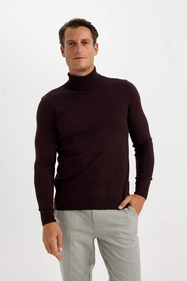 Standard Fit Regular Cut Turtleneck Basic Knit Pullover