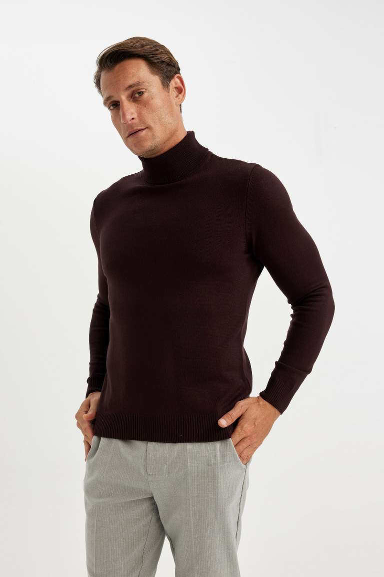 Standard Fit Regular Cut Turtleneck Basic Knit Pullover