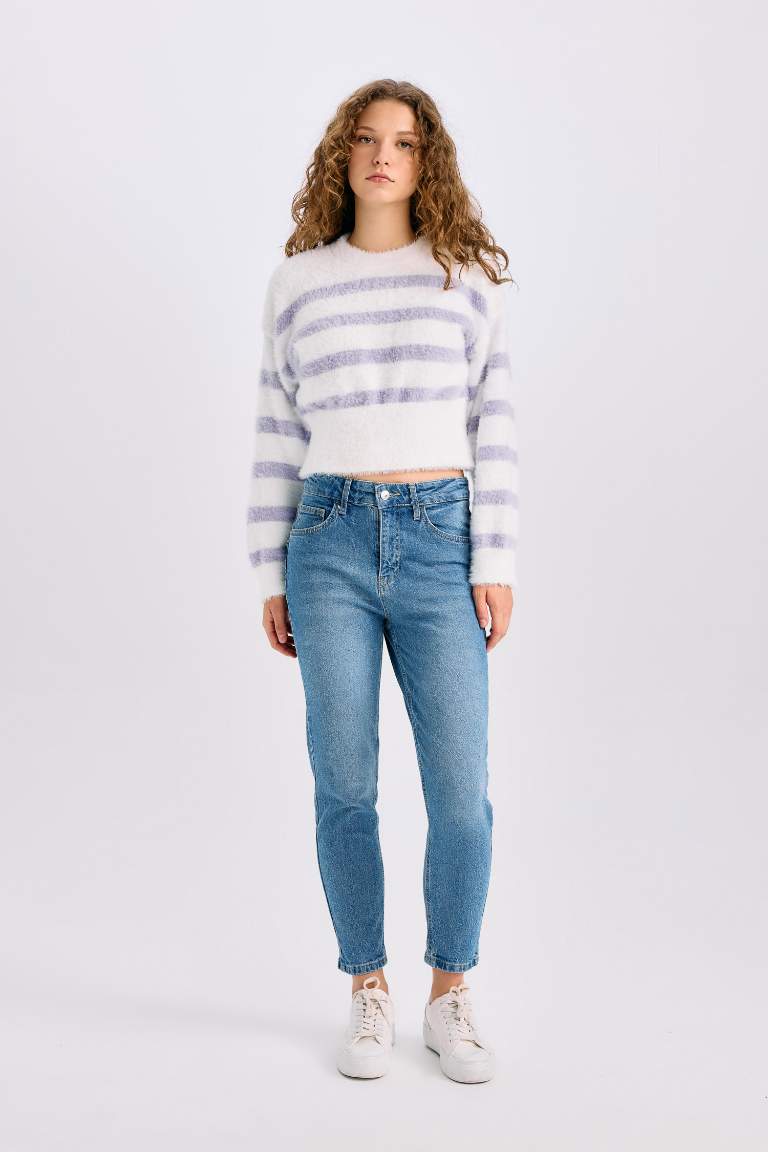 Regular Fit Striped Crew Neck Knit Pullover