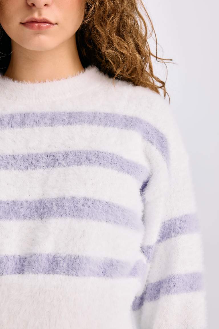 Regular Fit Striped Crew Neck Knit Pullover