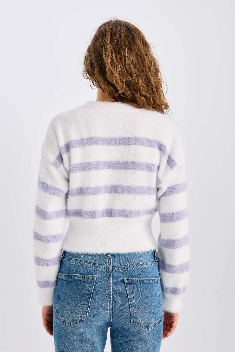 Regular Fit Striped Crew Neck Knit Pullover