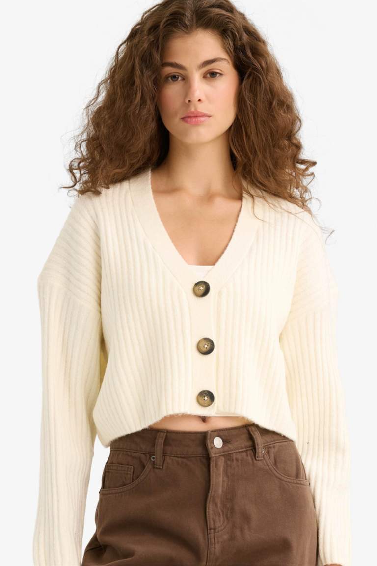 Regular Fit V-Neck Cardigan