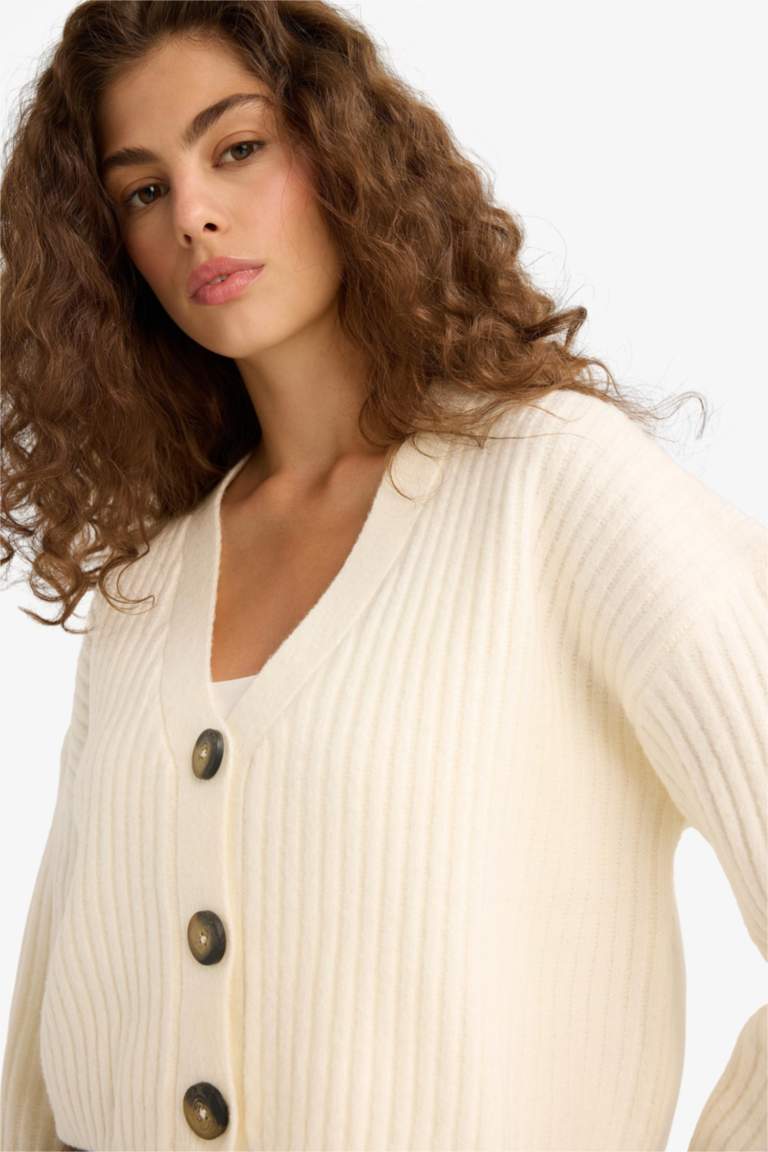 Regular Fit V-Neck Cardigan