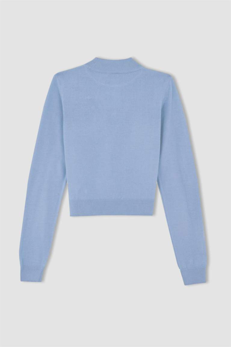 Голубой Женская Пуловер приталенного кроя с воротником