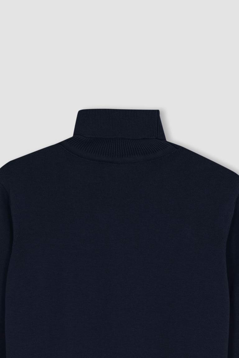 Boy Regular Fit Turtleneck Pullover