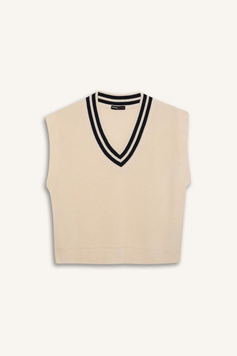 Regular Fit V-Neck Vest