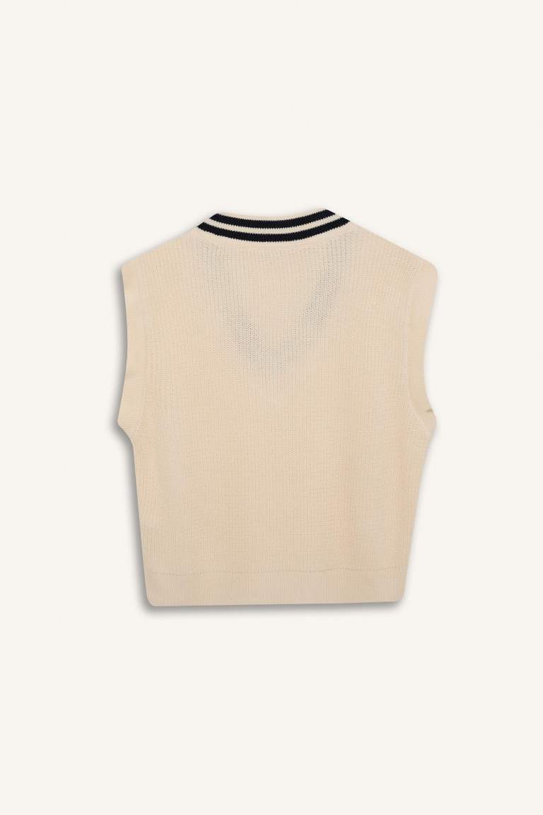 Regular Fit V-Neck Vest