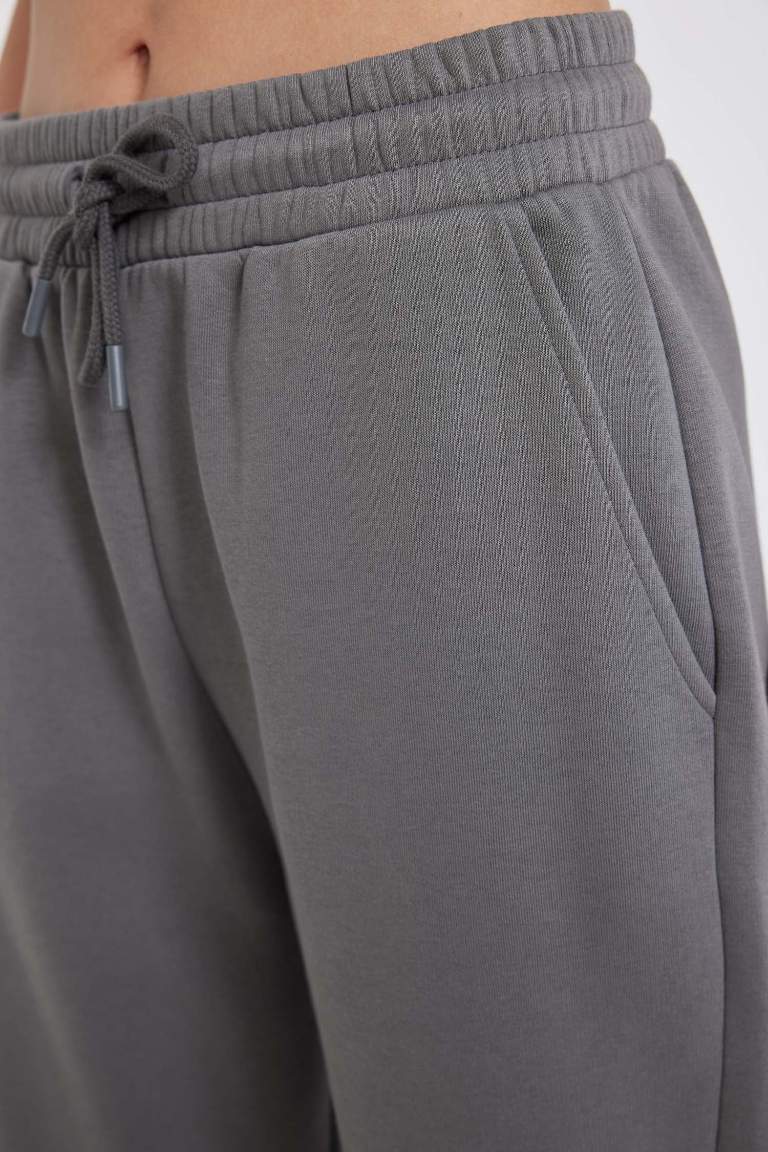 Standard Fit Elastic Waist Basic Thick Jogger Sweatpants