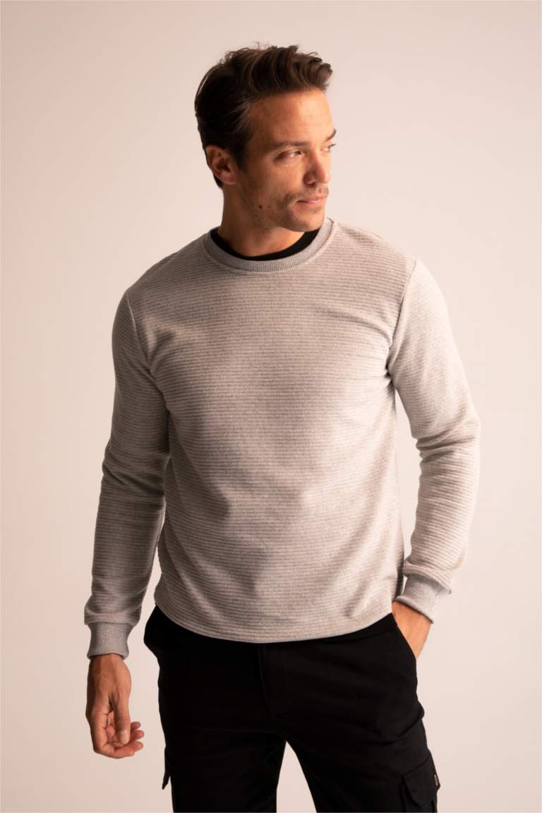 Regular Fit Sweatshirt