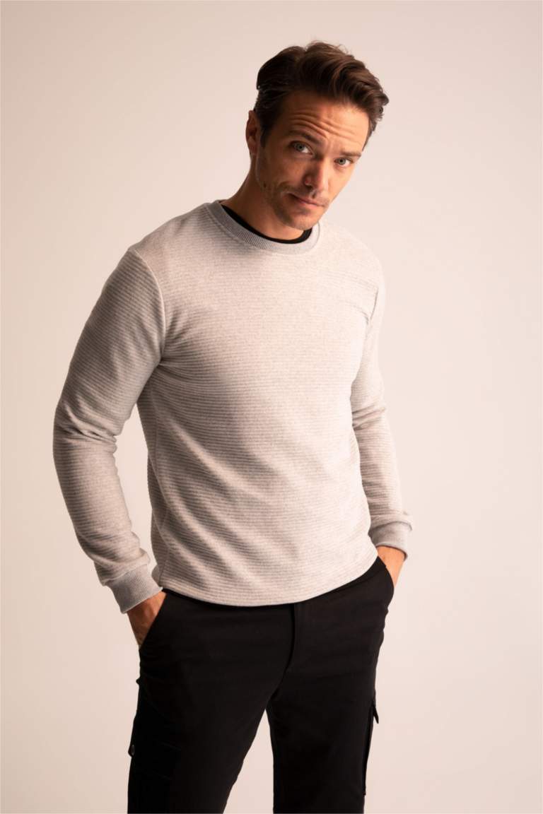 Regular Fit Sweatshirt