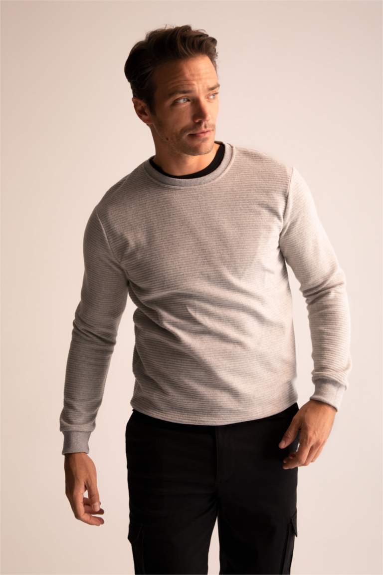 Regular Fit Sweatshirt
