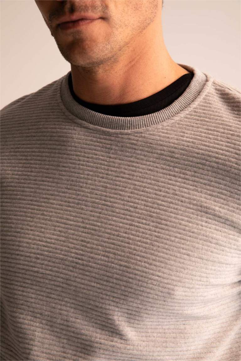 Regular Fit Sweatshirt