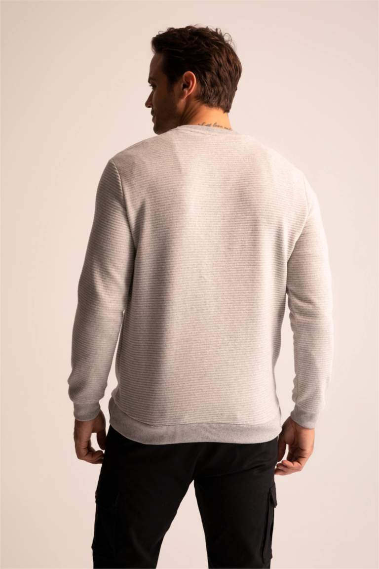 Regular Fit Sweatshirt
