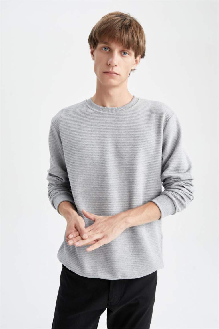Regular Fit Sweatshirt