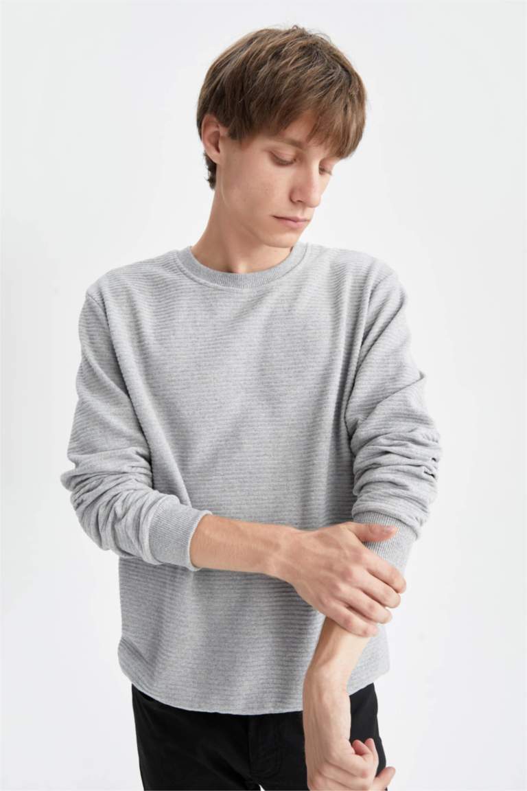 Regular Fit Sweatshirt