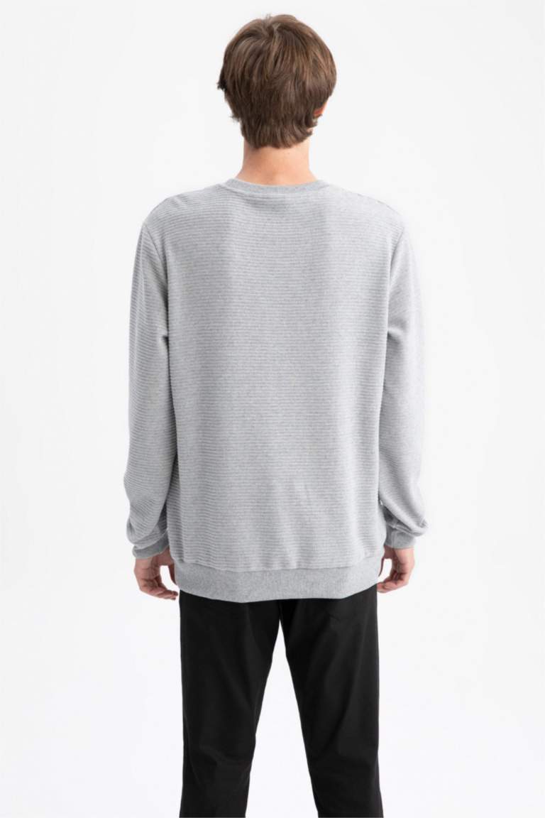 Regular Fit Sweatshirt