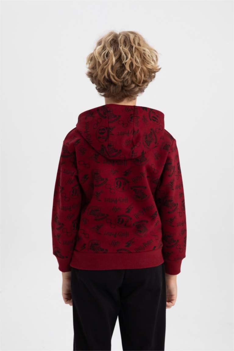 سويت شيرت ولادي قصة عادية بغطاء للرأس من هاري بوتر