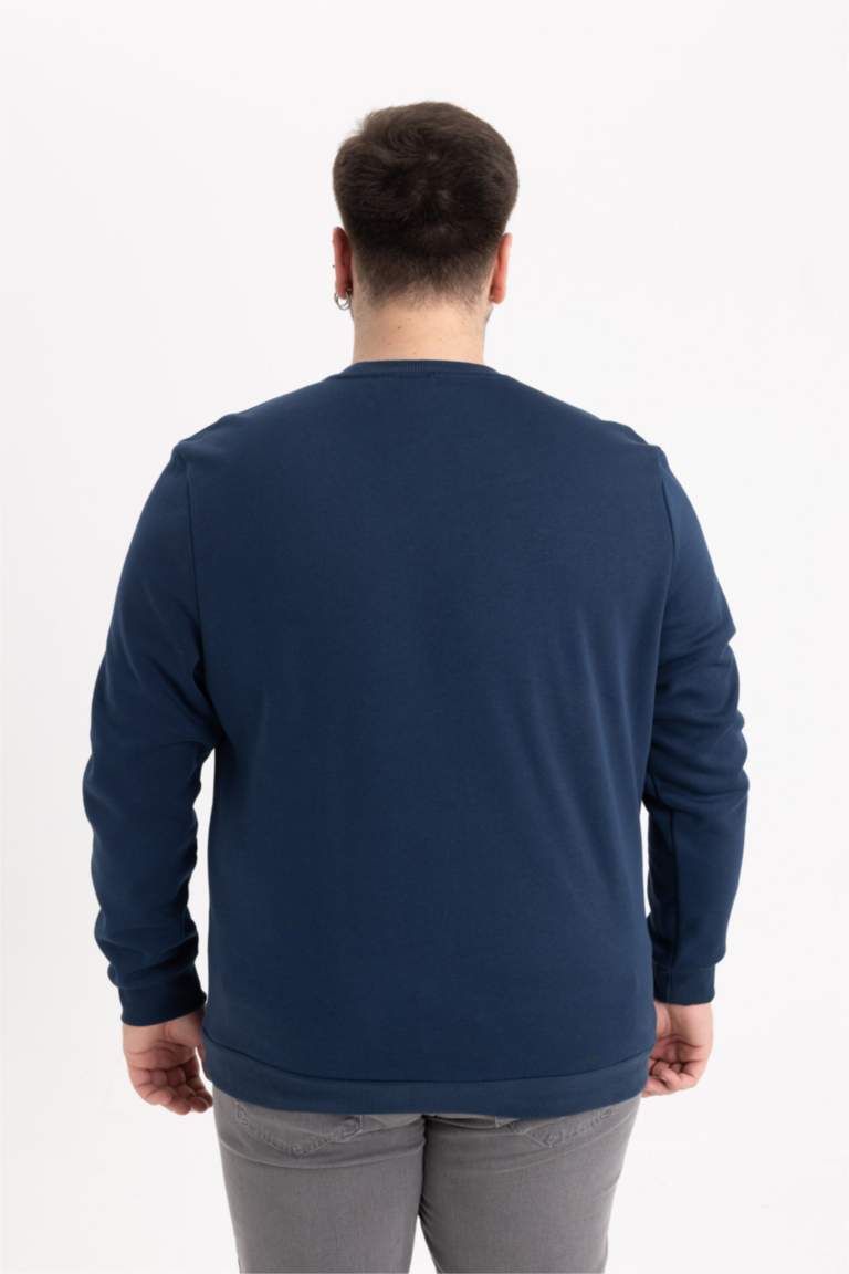 Regular Fit Bisiklet Yaka Kalın Basic Düz Sweatshirt
