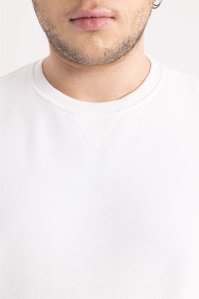 Regular Fit Bisiklet Yaka Kalın Basic Düz Sweatshirt