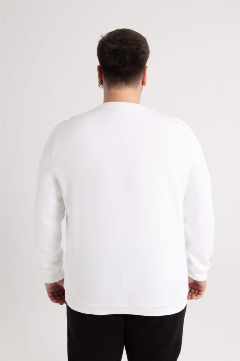 Regular Fit Bisiklet Yaka Kalın Basic Düz Sweatshirt