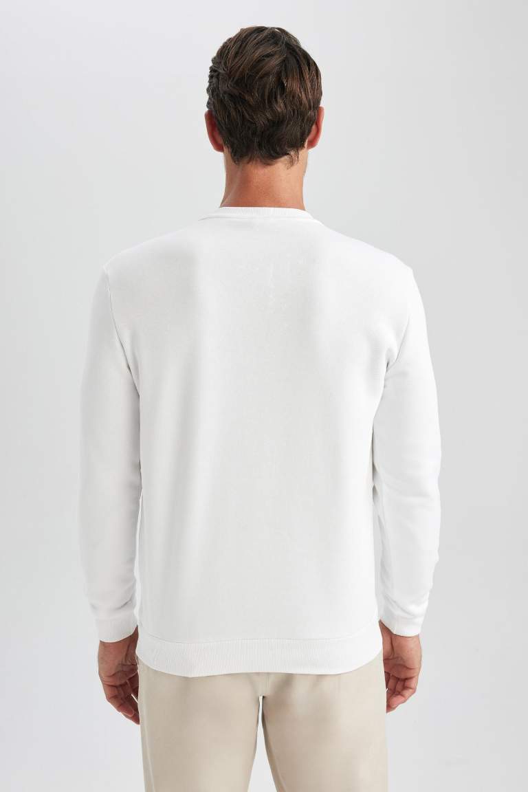 Regular Fit Crew Neck Cotton Basic Sweatshirt