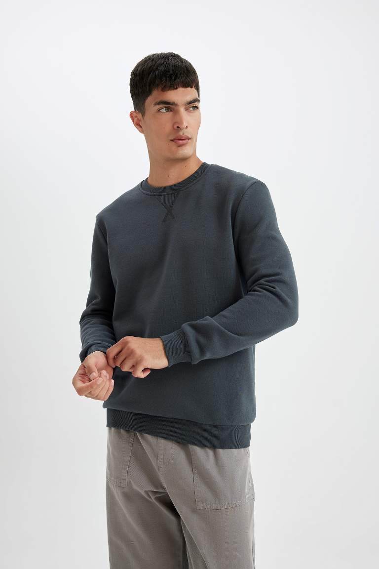 Regular Fit Thick Basic Sweatshirt