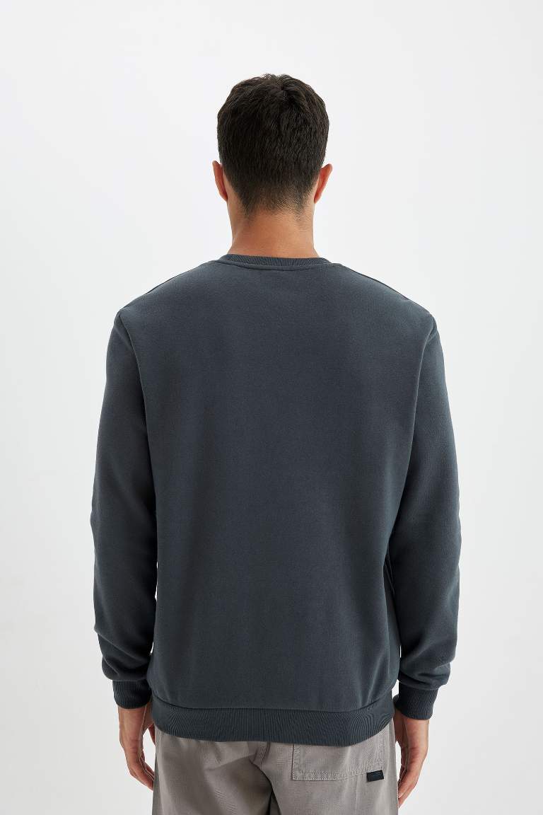 Regular Fit Thick Basic Sweatshirt