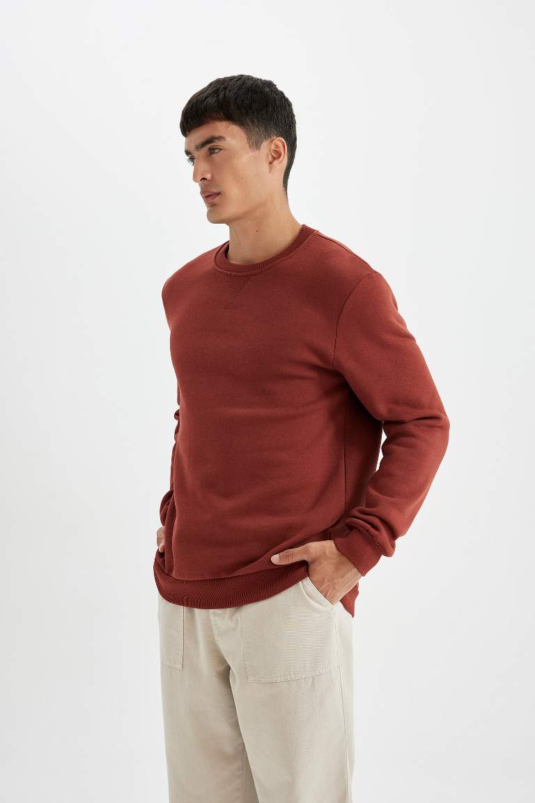 Regular Fit Sweatshirt