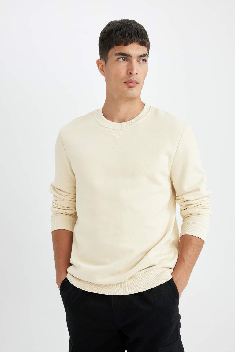 Regular Fit Crew Neck Thick Sweatshirt