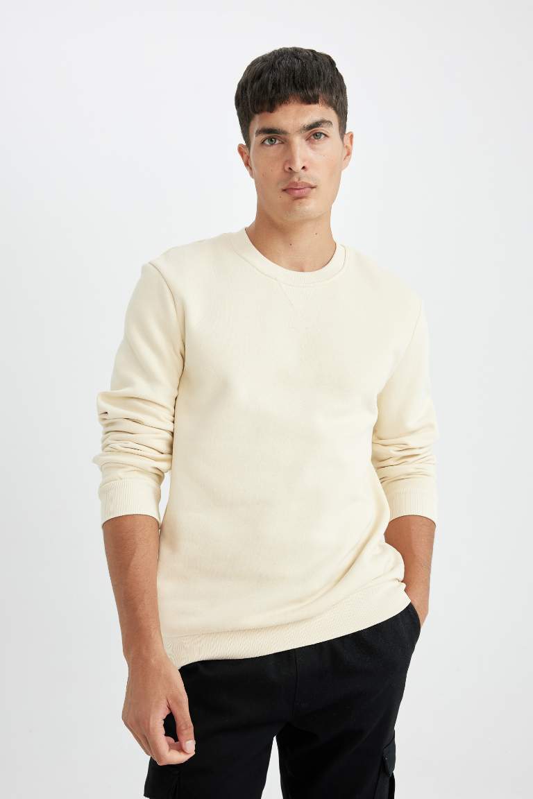 Regular Fit Crew Neck Thick Sweatshirt