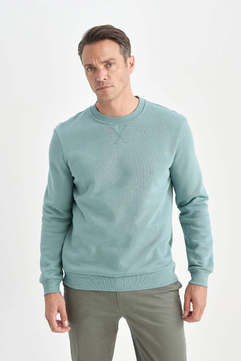 Regular Fit Crew Neck Thick Basic Sweatshirt