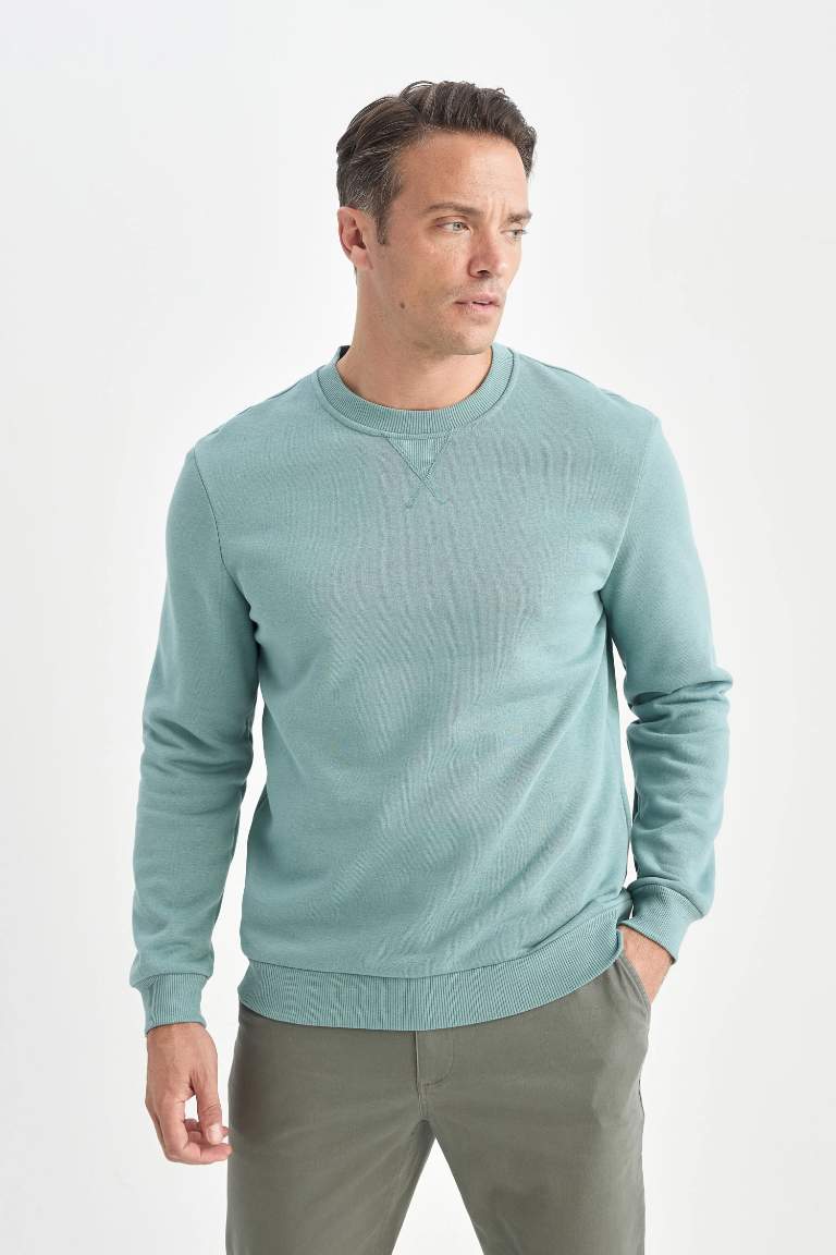 Regular Fit Crew Neck Thick Basic Sweatshirt