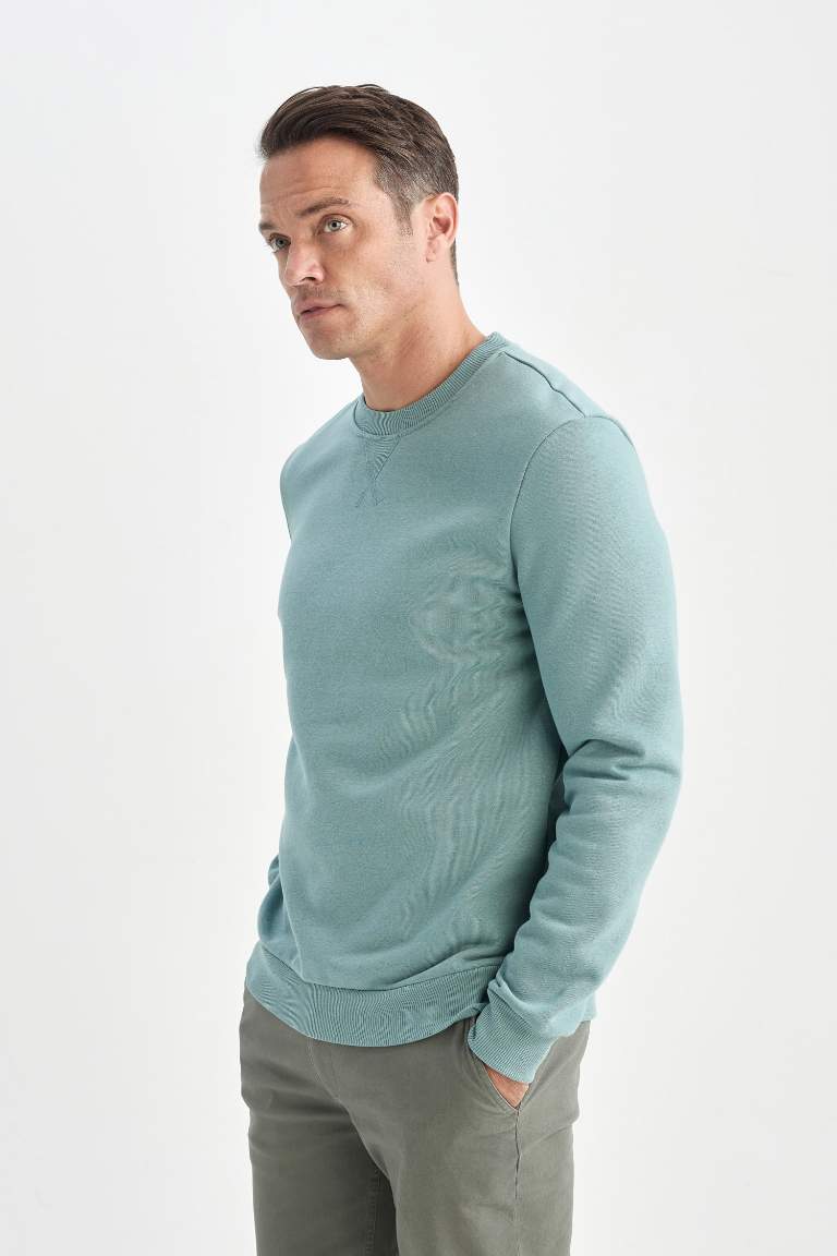 Regular Fit Crew Neck Thick Basic Sweatshirt