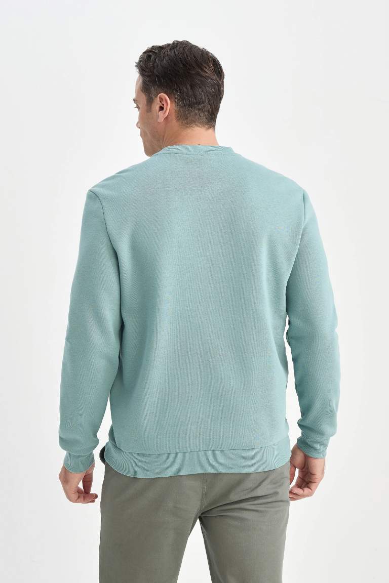 Regular Fit Crew Neck Thick Basic Sweatshirt