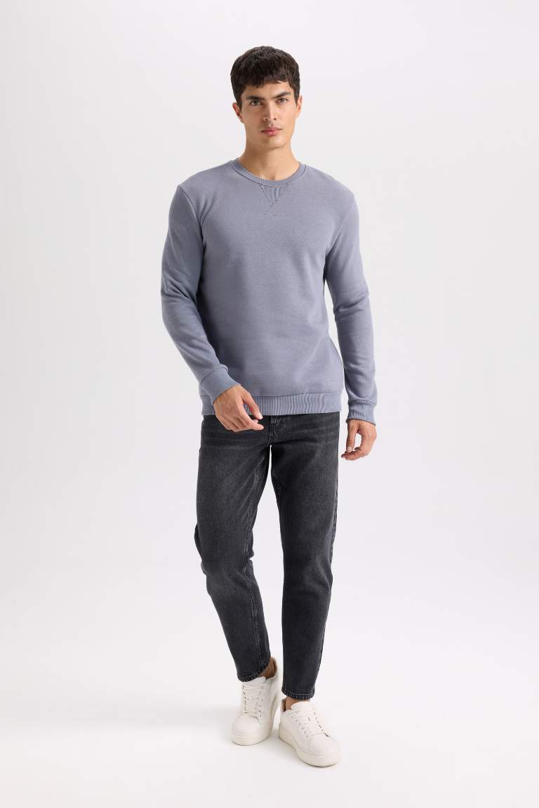 Regular Fit Crew Neck Thick Basic Sweatshirt