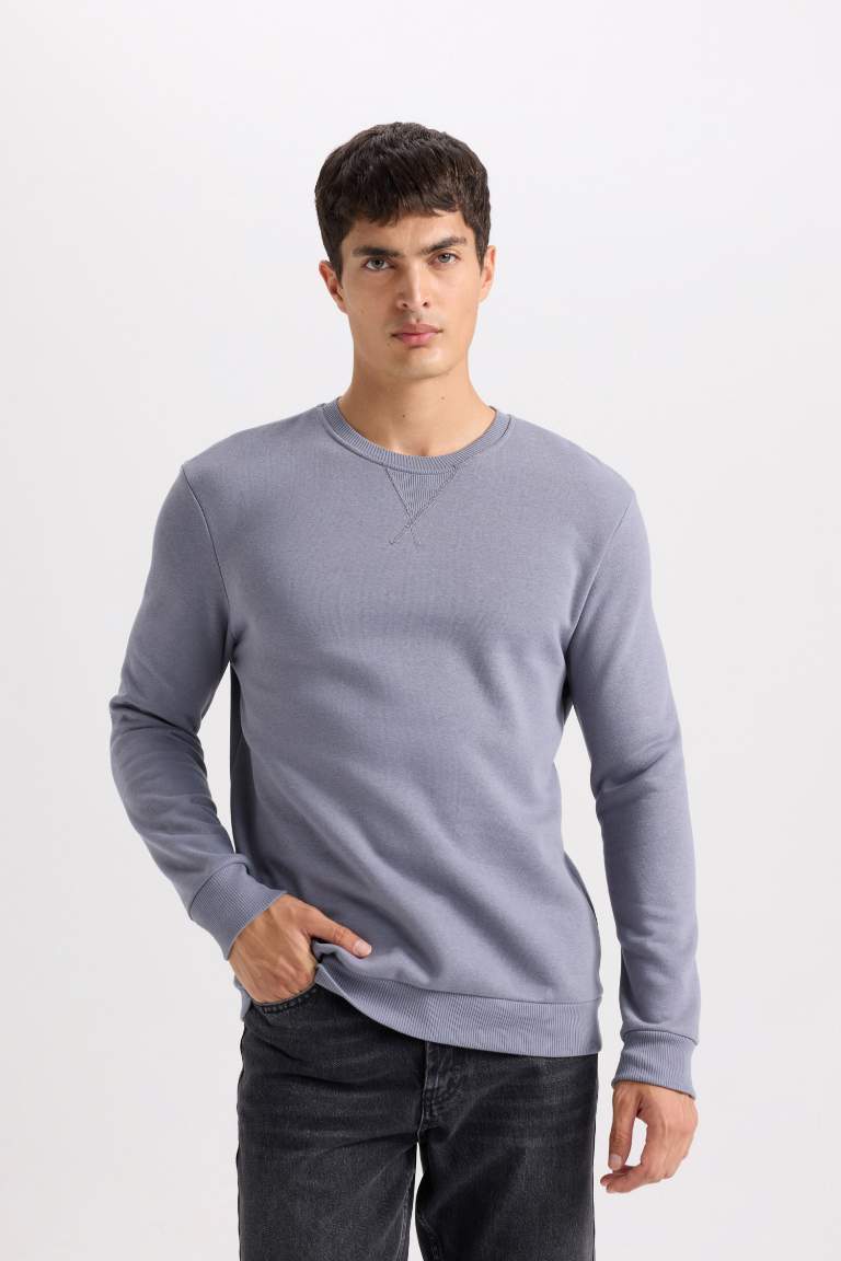 Regular Fit Crew Neck Thick Basic Sweatshirt